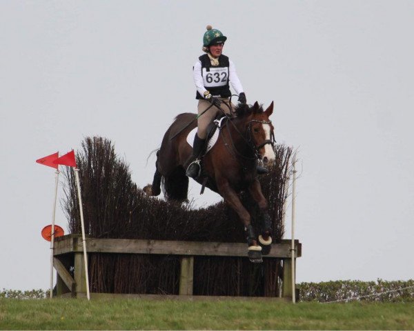 jumper Siraxta Schurrle (Irish Sport Horse, 2016, from Singular Ls La Silla)