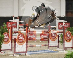 jumper Luka van de Eikhof (KWPN (Royal Dutch Sporthorse), 2016, from For Pleasure)