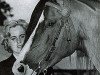 stallion K of K ox (Arabian thoroughbred, 1957, from Kasimdar ox)