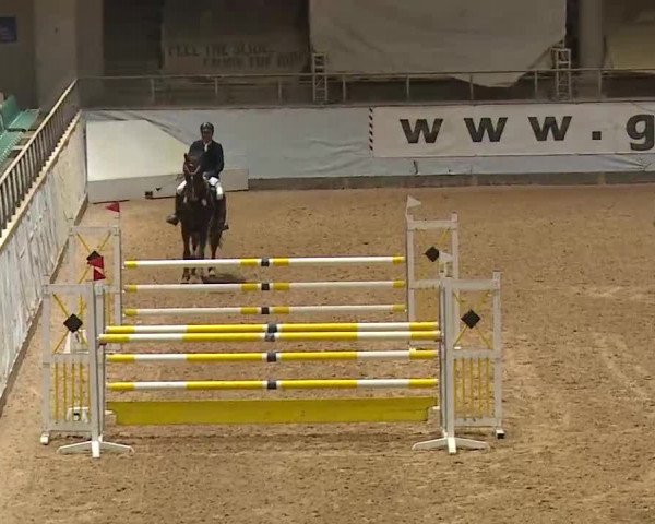 Reitturnier Kreuth 2023