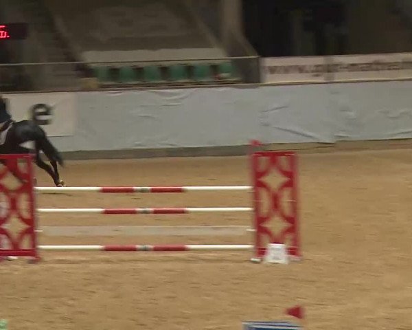 Reitturnier Kreuth 2023
