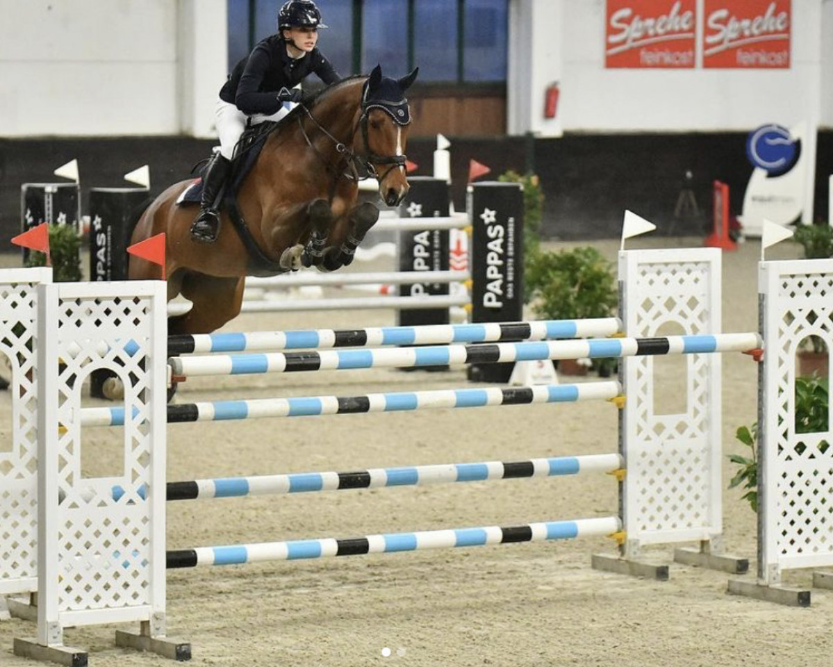 broodmare Hannah Von Der Soehr (Holsteiner, 2015, from Uriko)