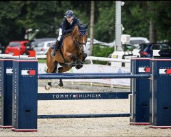 jumper Stolzer Jung (Hanoverian, 2015, from Stolzenberg)