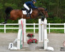 jumper Canaro (Hanoverian, 2008, from Canturano I)