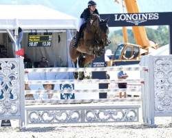 Springpferd Fleur Sinaa-A (KWPN (Niederländisches Warmblut), 2010, von VDL Cardento 933)