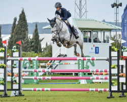 jumper Celine Rbf Z (Belgian Warmblood, 2015, from Cape Coral Rbf Z)