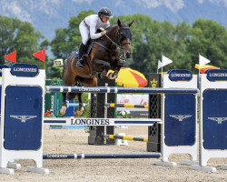 jumper Ierdita (KWPN (Royal Dutch Sporthorse), 2013, from Ullrichequine's St Emilion)