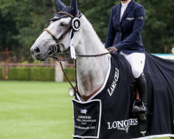 jumper Fouego de La Closiere (Belgium Sporthorse, 2011, from Nabab de Rêve)