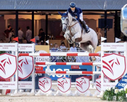 jumper Fouego de La Closiere (Belgium Sporthorse, 2011, from Nabab de Rêve)