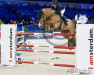 Springpferd Meibloem VD Donkhoeve (Belgisches Warmblut, 2012, von Diamant de Semilly)