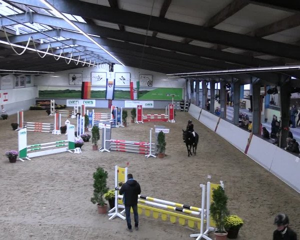 Reitturnier Legden | Ponyturnier 2023
