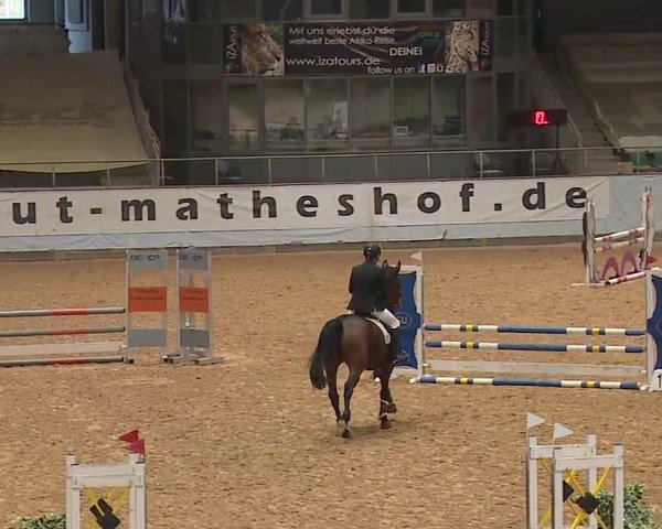 Reitturnier Kreuth 2023