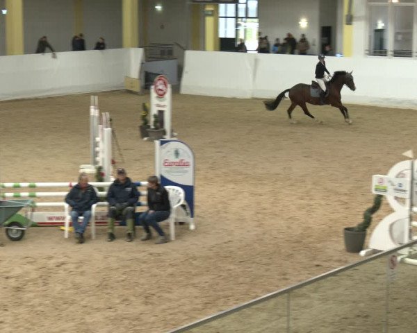 Springturnier Stadl Paura 2023