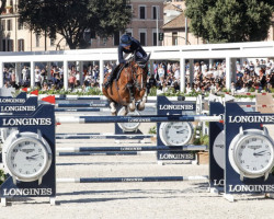 jumper Cortez van't Klein Asdonk Z (Zangersheide riding horse, 2012, from Cornet Obolensky)