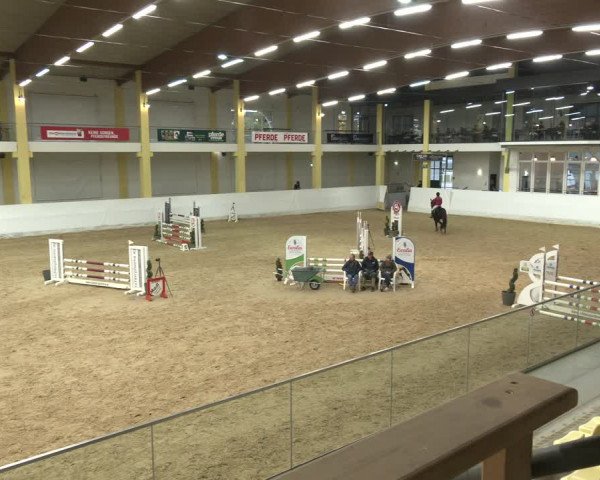 Springturnier Stadl Paura 2023