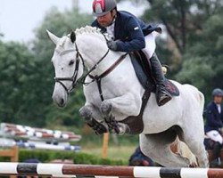 broodmare Camilla 11 (Oldenburg show jumper, 2007, from Cardino)