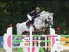 jumper Quilano RVL Z (Zangersheide riding horse, 2012, from Quintender 2)