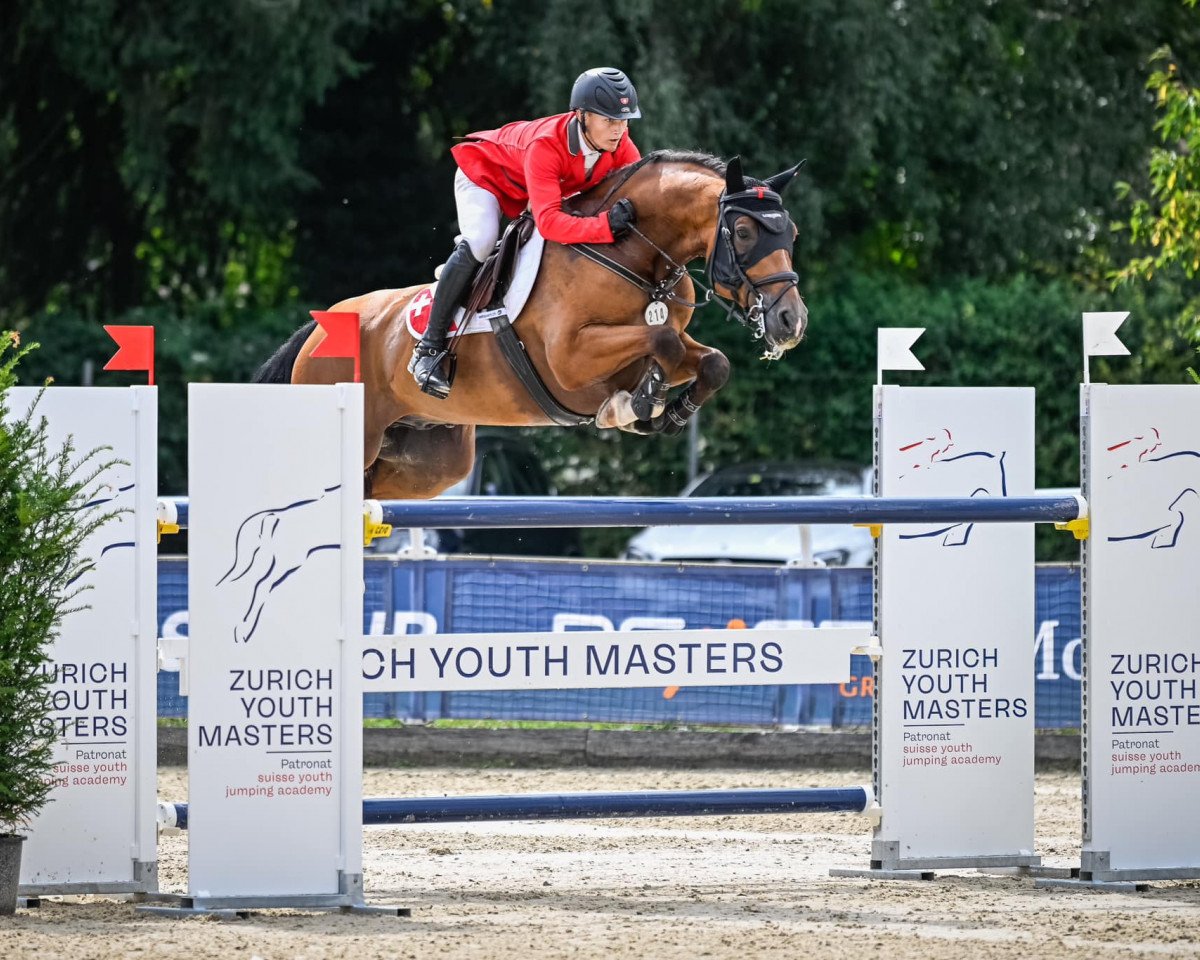 jumper Conteros B (Hanoverian, 2014, from Cascadello)