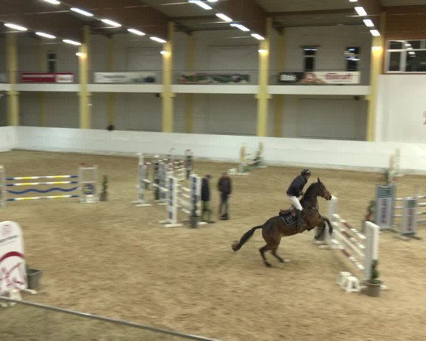 Springturnier Stadl Paura 2023