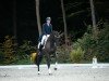 dressage horse Dancing Scarlett (Hanoverian, 2015, from Dancing World)