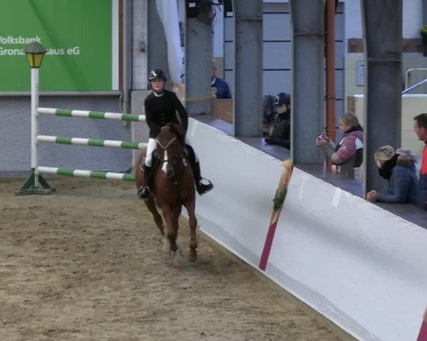 Reitturnier Legden | Ponyturnier 2023