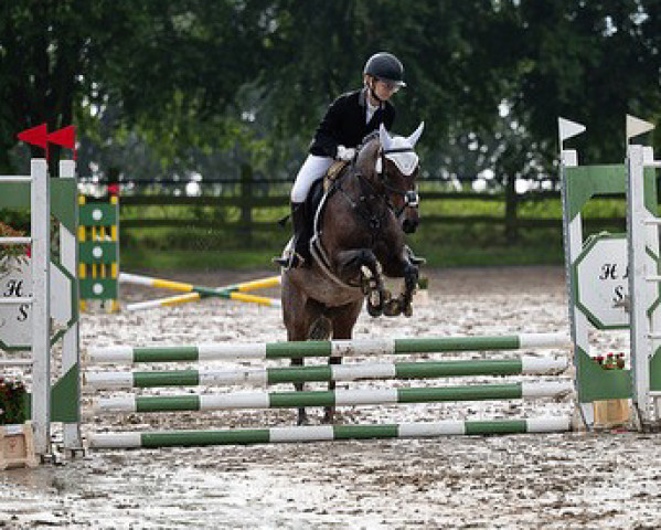 jumper Diva Donna (German Riding Pony, 2010, from D'Acord)