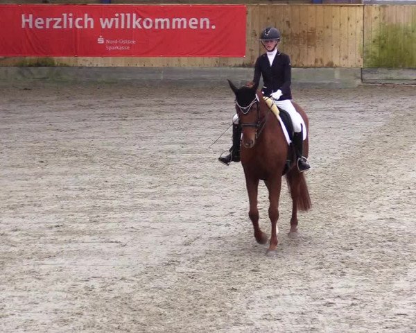 Reitturnier Großenwiehe 2023