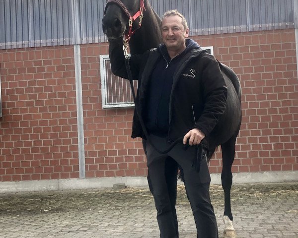 broodmare Hertziana (Trakehner, 2006, from Gribaldi)