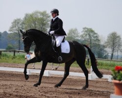 broodmare Waleska 349 (German Sport Horse, 2003, from Wolkenzauber)