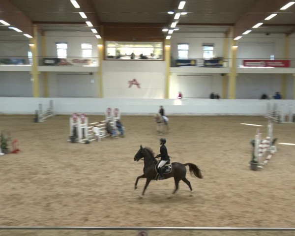 Springturnier Stadl Paura 2023