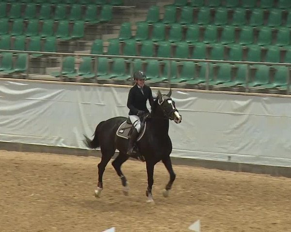 Reitturnier Kreuth 2023