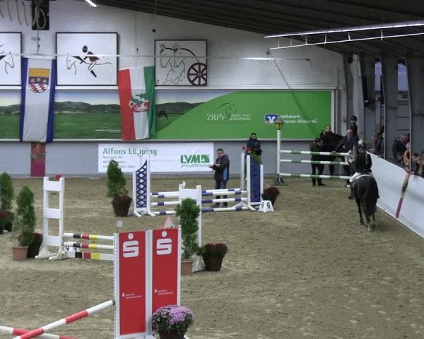 Reitturnier Legden | Ponyturnier 2023