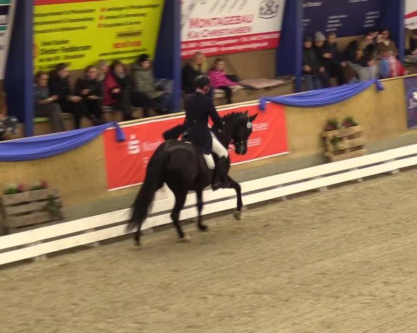 Reitturnier Großenwiehe 2023