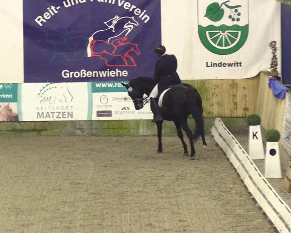 Reitturnier Großenwiehe 2023