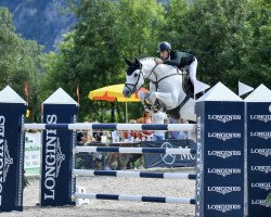 jumper Walk For Me Kzi CH (Swiss Warmblood, 2006, from Cornet Obolensky)