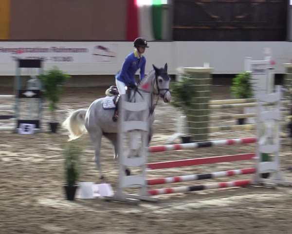 Reitturnier Marl, Reithalle Rohmann 2023