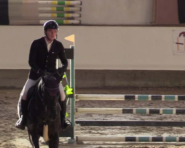 Reitturnier Marl, Reithalle Rohmann 2023
