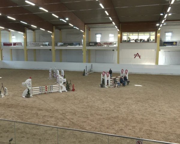 Springturnier Stadl Paura 2023