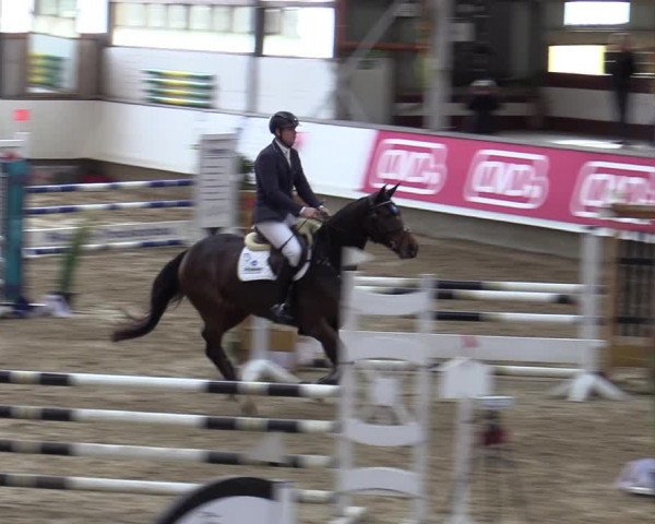 Reitturnier Marl, Reithalle Rohmann 2023