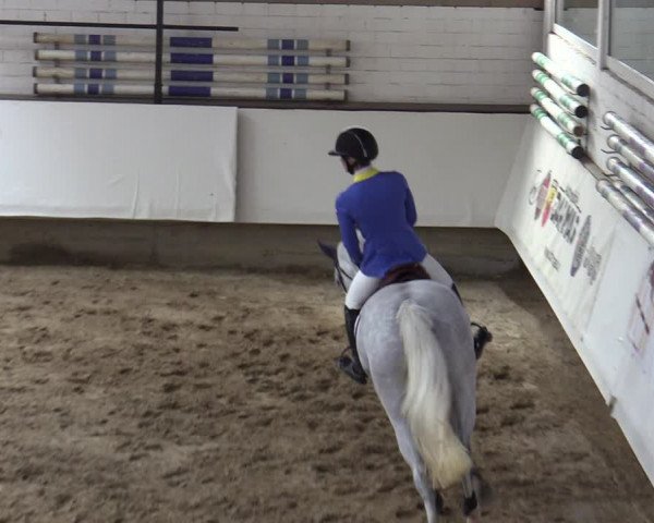 Reitturnier Marl, Reithalle Rohmann 2023