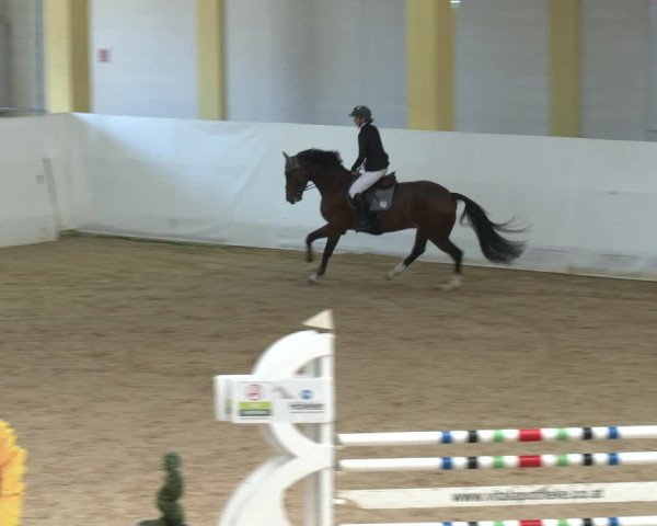 Springturnier Stadl Paura 2023