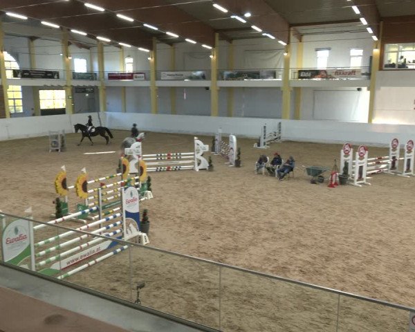Springturnier Stadl Paura 2023