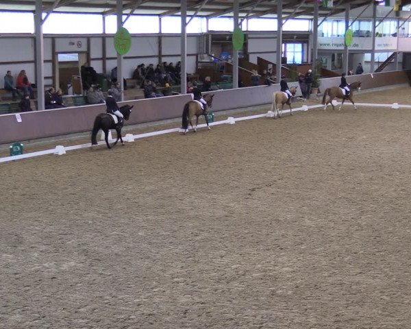 Reitturnier Gahlen 2023