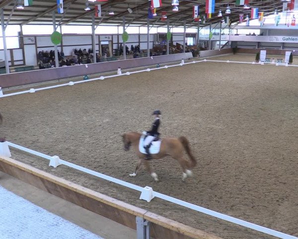 Reitturnier Gahlen 2023