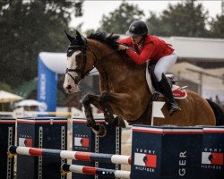 Springpferd Loriental des Droz (Schweizer Warmblut, 2010, von Landjuweel St Hubert)