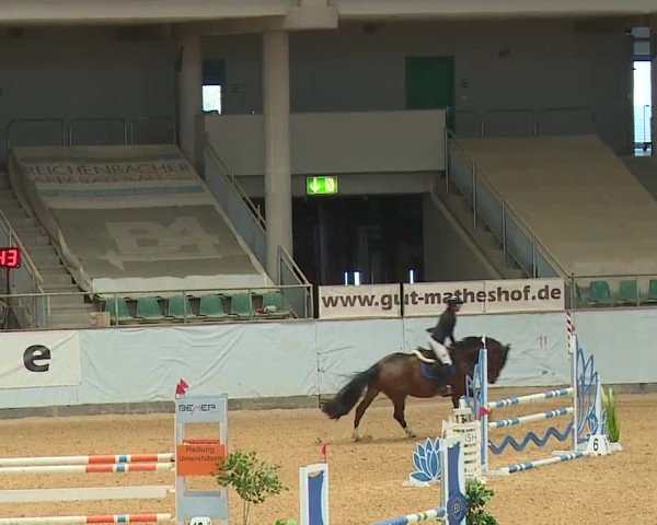 Reitturnier Kreuth 2023