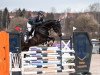 jumper Captain Morgan 47 (German Sport Horse, 2017, from Cornfire)