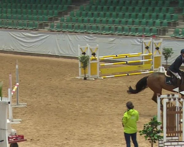 Reitturnier Kreuth 2023