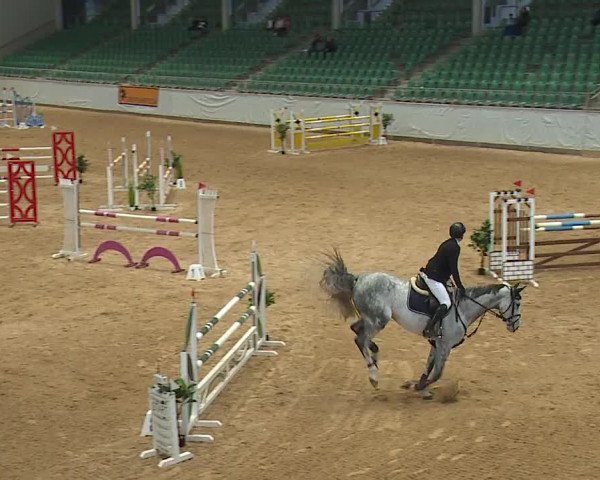 Reitturnier Kreuth 2023