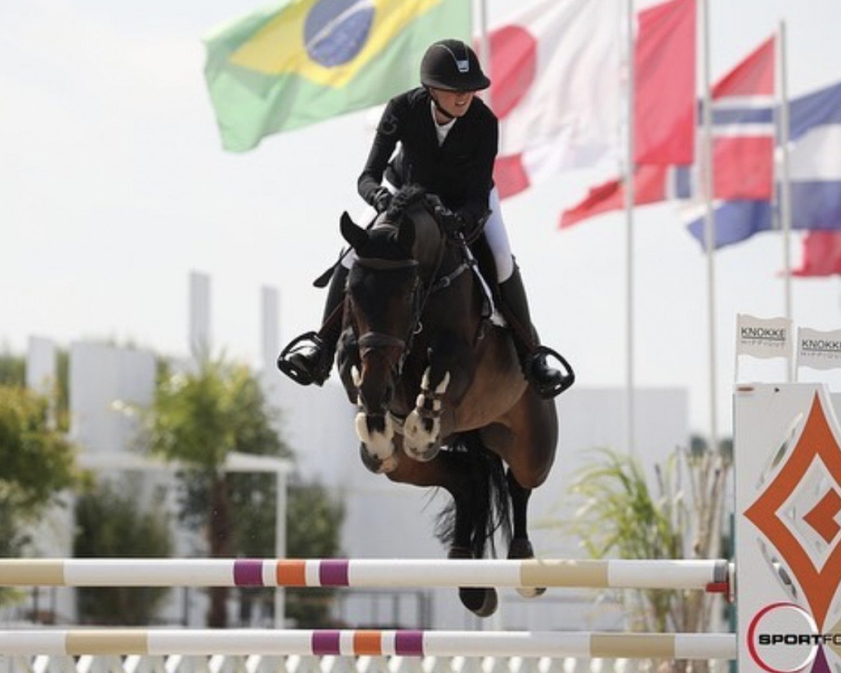 jumper Scaglietti 4 (Oldenburg show jumper, 2015, from Diatendro)